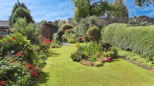 Garden in Bloom- click for photo gallery